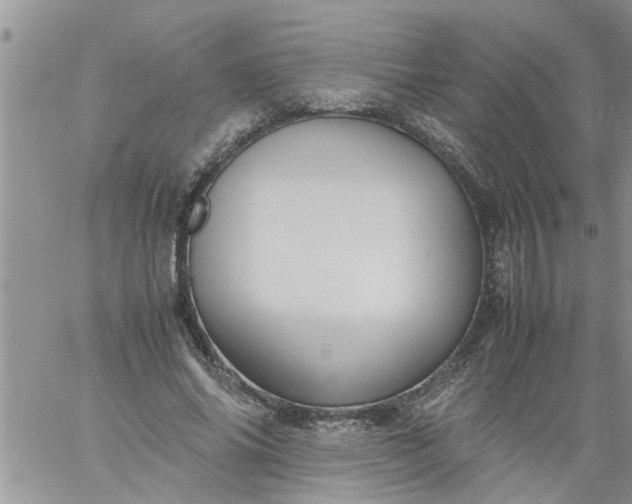 X0000060780686200511241820