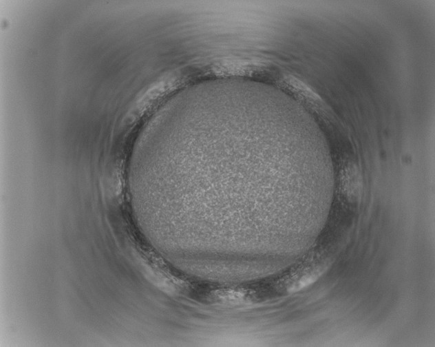 X0000060780687200511241820