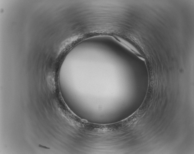 X0000060780688200511241820