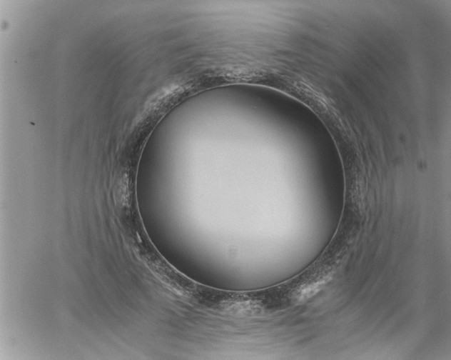 X0000060780689200511241820