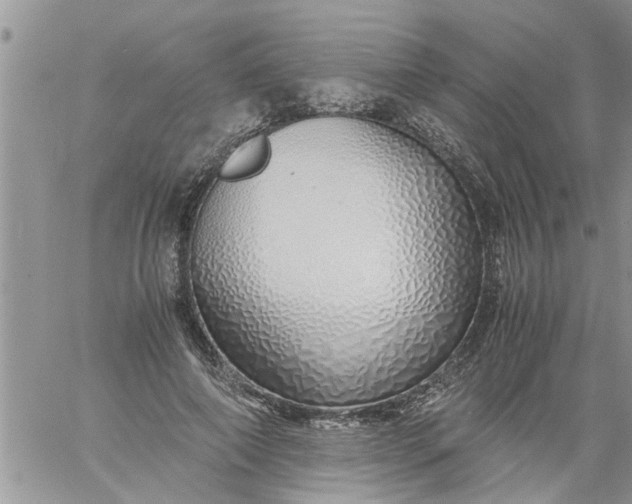 X0000060780690200511241820