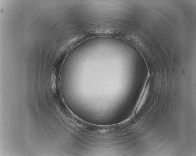 X0000060780692200511241820