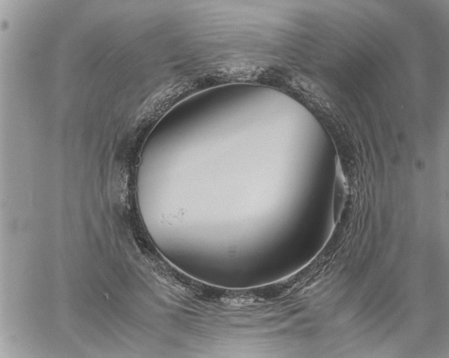 X0000060780693200511241820