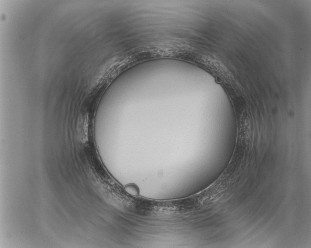 X0000060780694200511241820