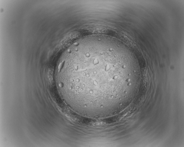 X0000060780695200511241820