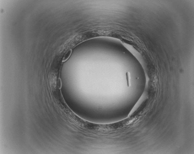 X0000060780697200511241820