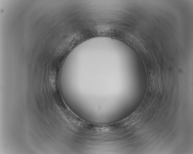 X0000060780698200511241820