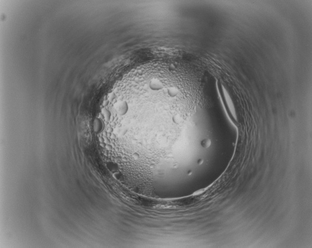 X0000060780699200511241820