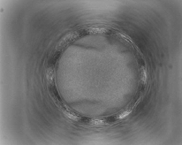 X0000060780701200511241820