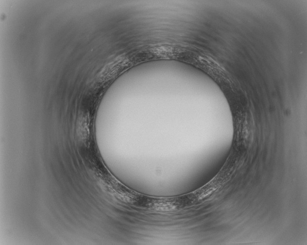 X0000060780702200511241820