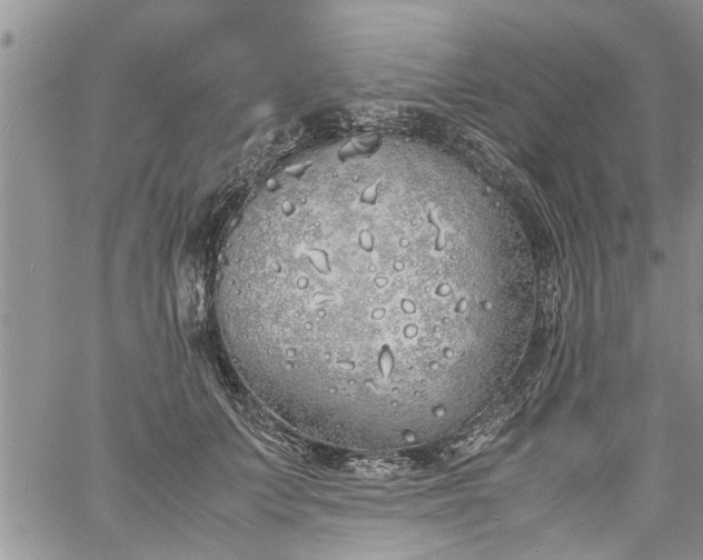 X0000060780703200511241820