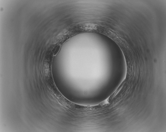 X0000060780704200511241820