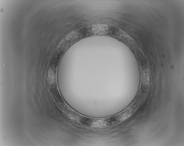 X0000060780705200511241820