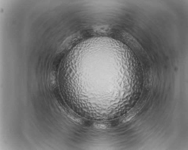 X0000060780706200511241819