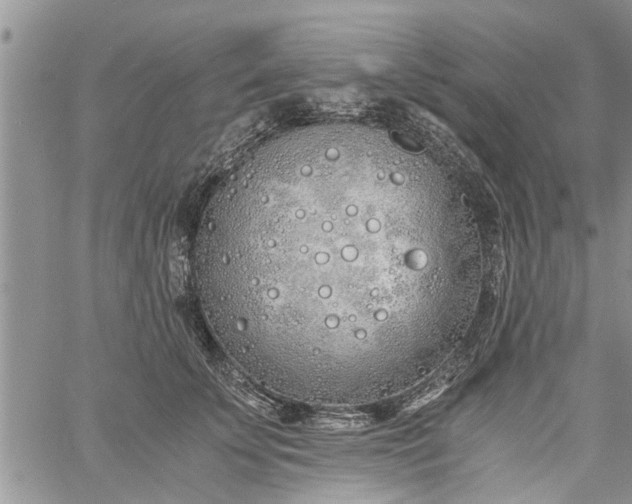 X0000060780707200511241819