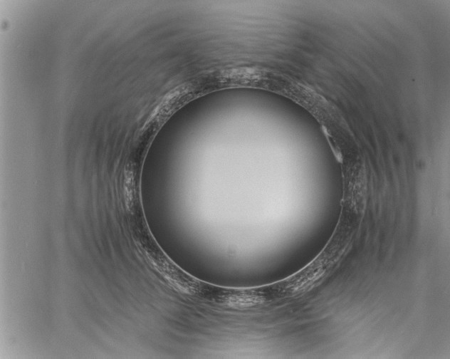 X0000060780708200511241819