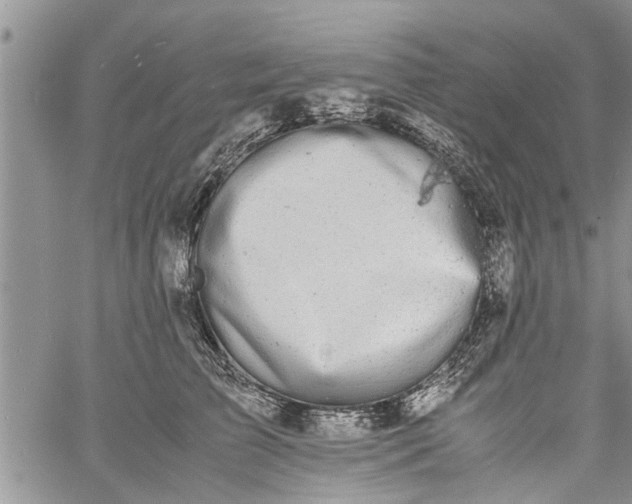 X0000060780709200511241819