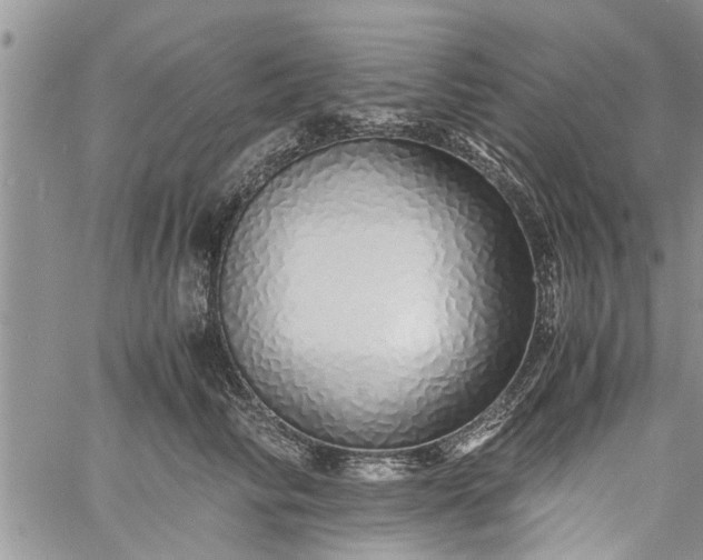 X0000060780710200511241819