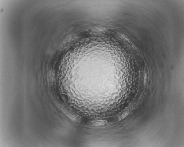 X0000060780711200511241819