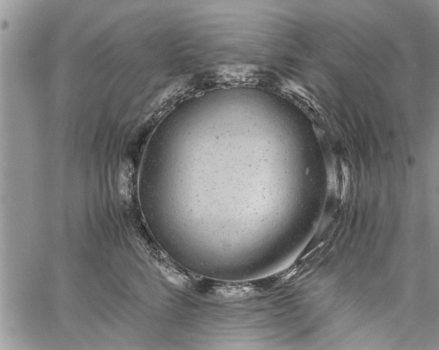 X0000060780712200511241819