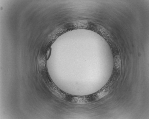 X0000060780713200511241819