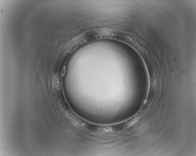 X0000060780715200511241819