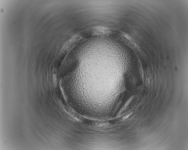 X0000060780716200511241819