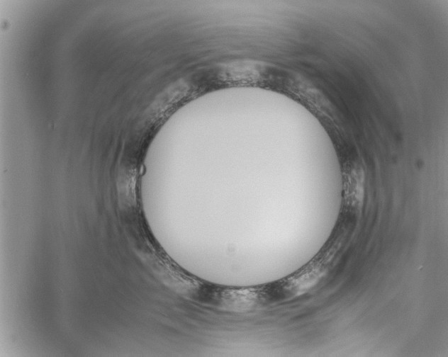 X0000060780717200511241819