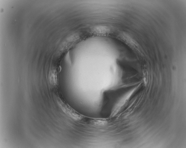 X0000060780718200511241819