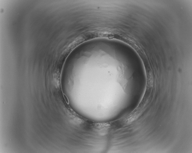 X0000060780719200511241819