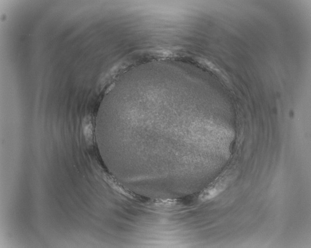 X0000060780720200511241819