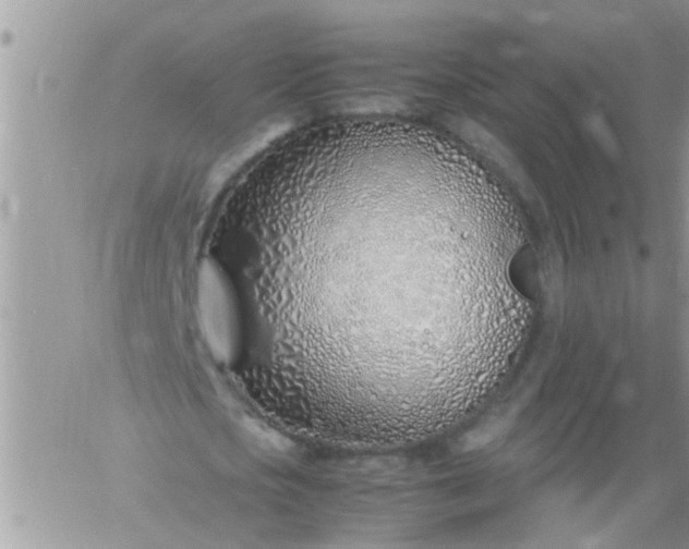 X0000060780721200511241818