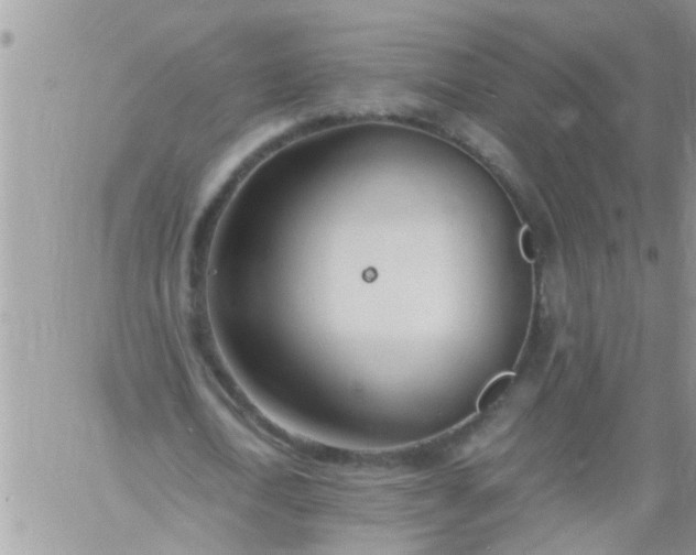 X0000060780722200511241818