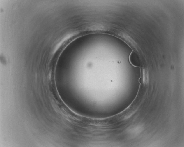 X0000060780723200511241819