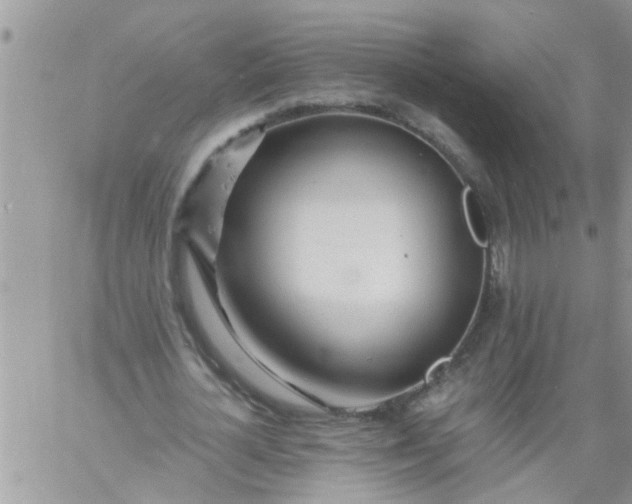 X0000060780724200511241819