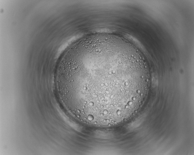 X0000060780725200511241819