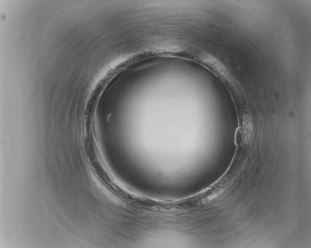 X0000060780726200511241819