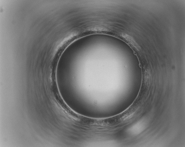 X0000060780727200511241819