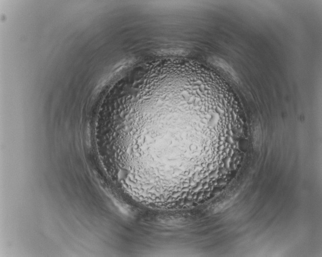 X0000060780729200511241819