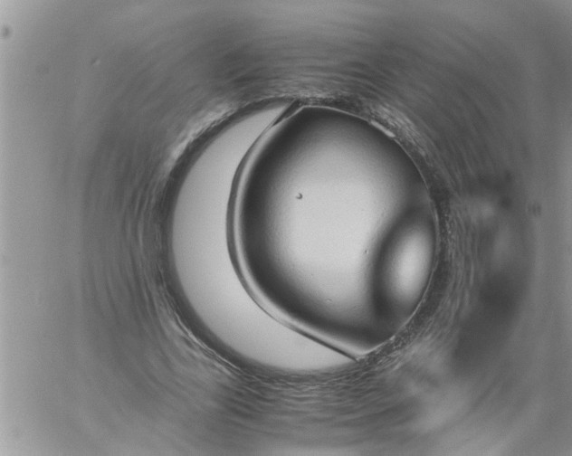 X0000060780731200511241819