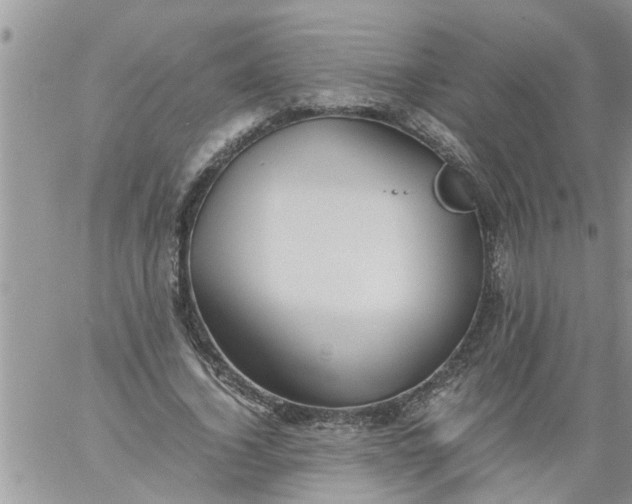 X0000060780732200511241819