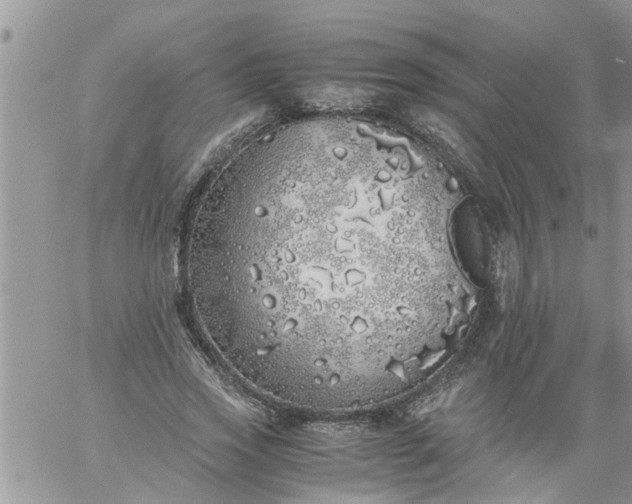 X0000060780733200511241819