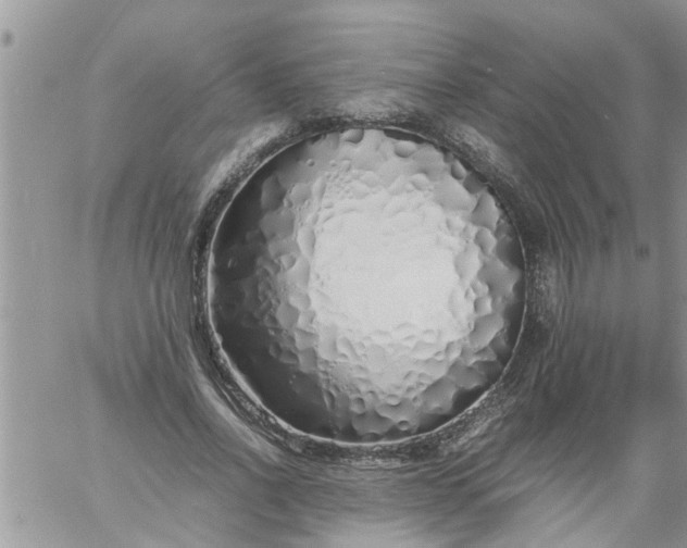 X0000060780734200511241819