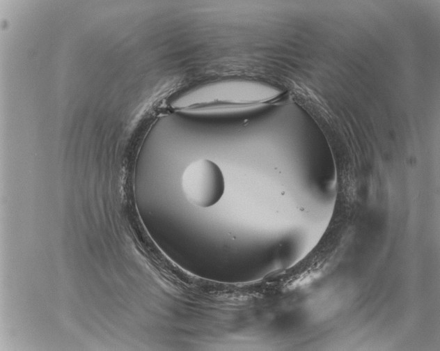 X0000060780735200511241819