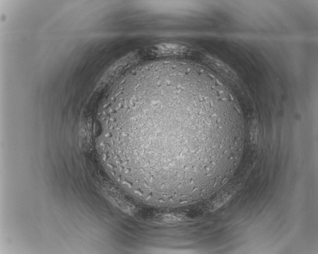 X0000060780737200511241819