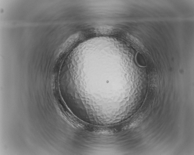 X0000060780738200511241819