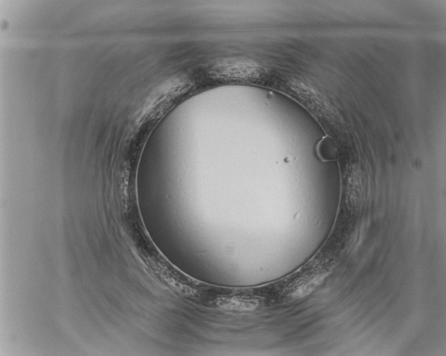 X0000060780739200511241819