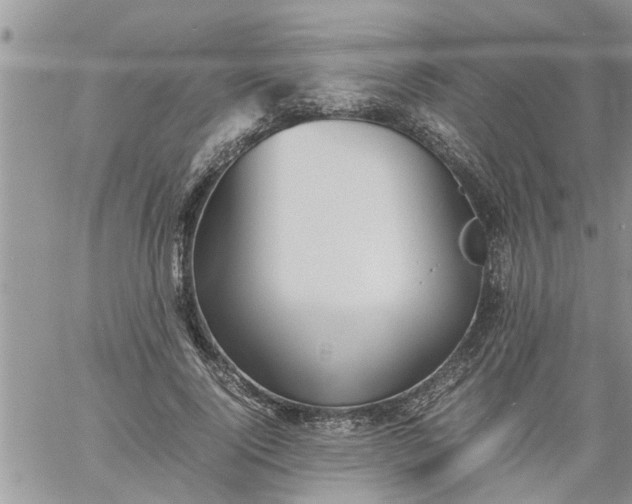 X0000060780740200511241819