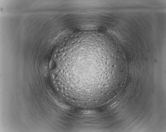 X0000060780741200511241819