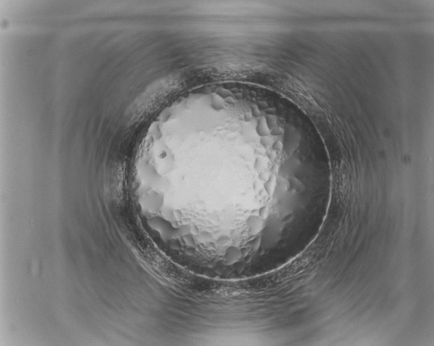 X0000060780742200511241819